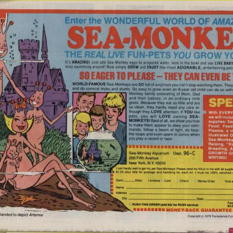 Advertisement for Sea Monkeys, May, 1979