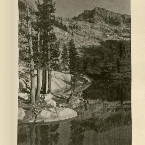 The Lore and the Lure of Sequoia and Kings Canyon