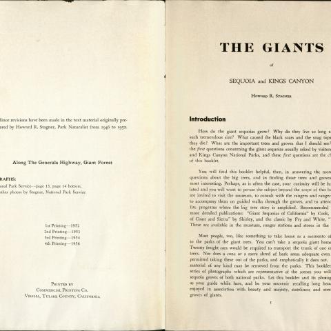 The Giants of Sequoia and Kings Canyon