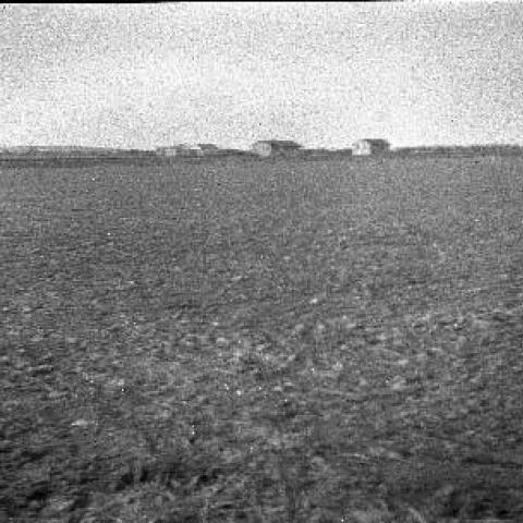 Halverson farm, 1925. Homer Halverson Collection. 