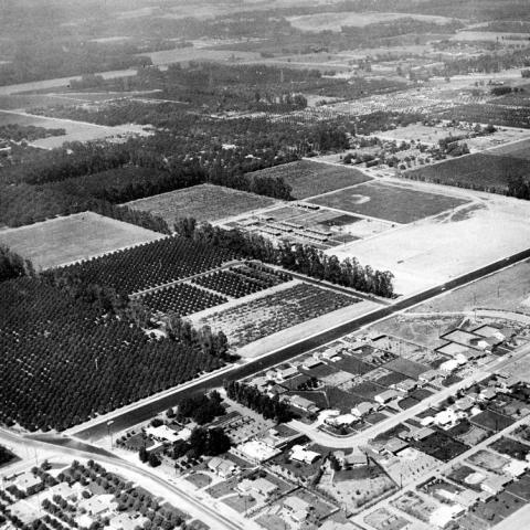 Los Angeles State College, San Fernando Valley Campus (now CSUN), Aerial View, 1956. University Archives Photograph Collection.