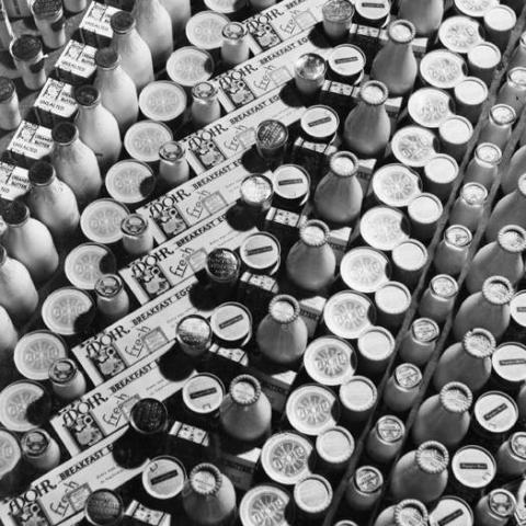 Adohr Farms' variety of dairy products, ca. 1936