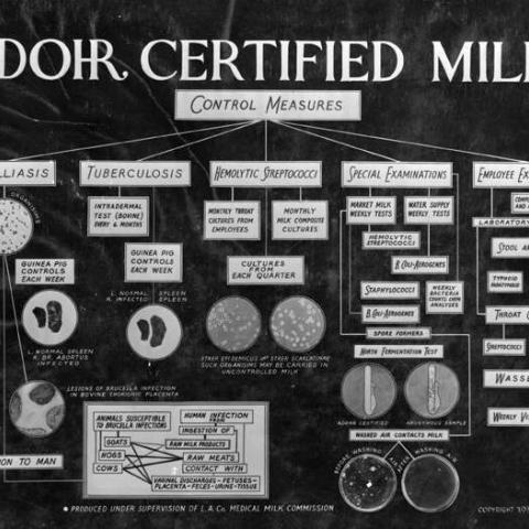 Control measures, under the supervision of the Los Angeles County Medical Milk Commission, taken to protect milk from contamination, 1936