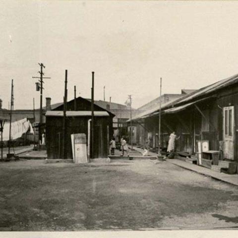 Photograph of toilet shed