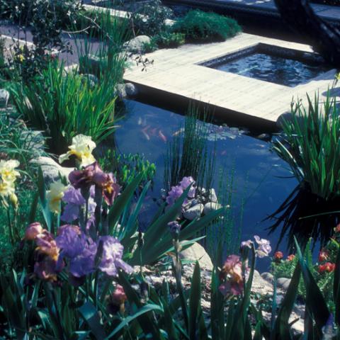 Exterior, Strauss home, ca. 1983