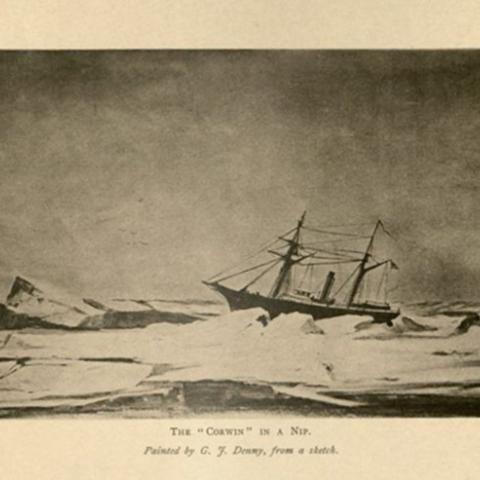 The Revenue Cutter USRM Corwin. Painting by G.F. Denny. F908 .U65 1884