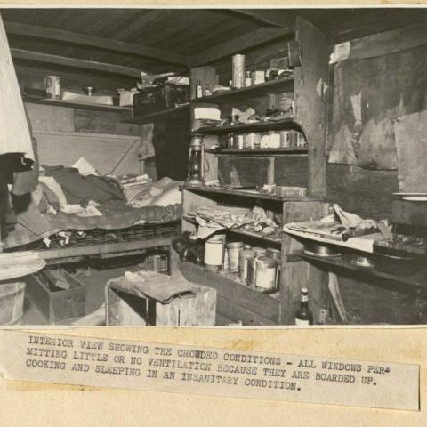 Photograph of unsanitary living conditions