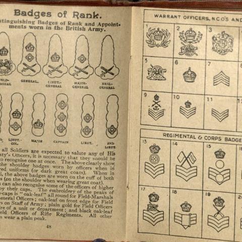 Pictures of badges and ranks for recognizing appropriate salutes