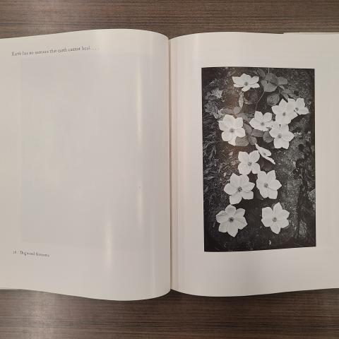 Ansel Adams photograph from Yosemite and the Sierra Nevada, F868.Y6 M915
