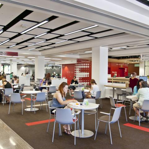 Our new cafe area and circulation desk.