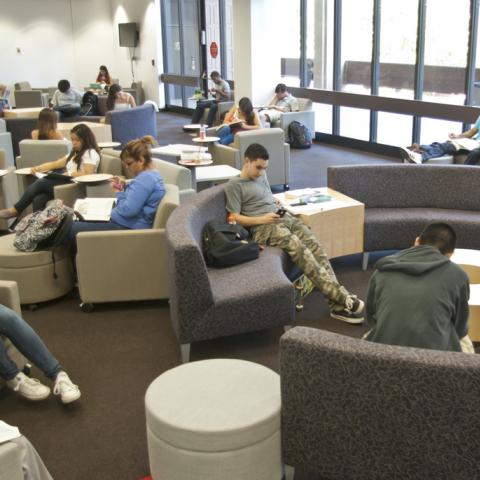Studying and relaxing in our new furniture.