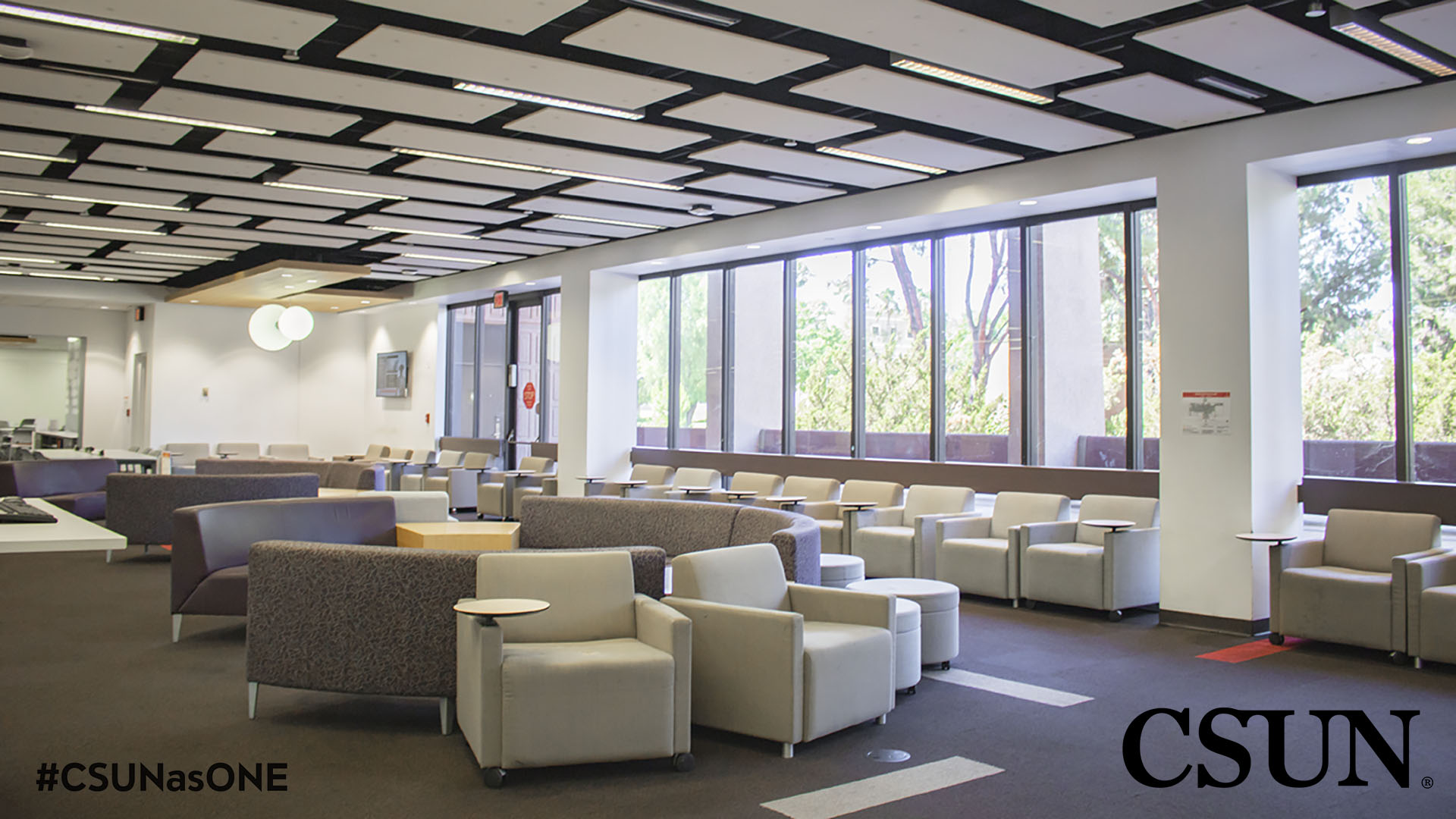 Chairs and couch by windows