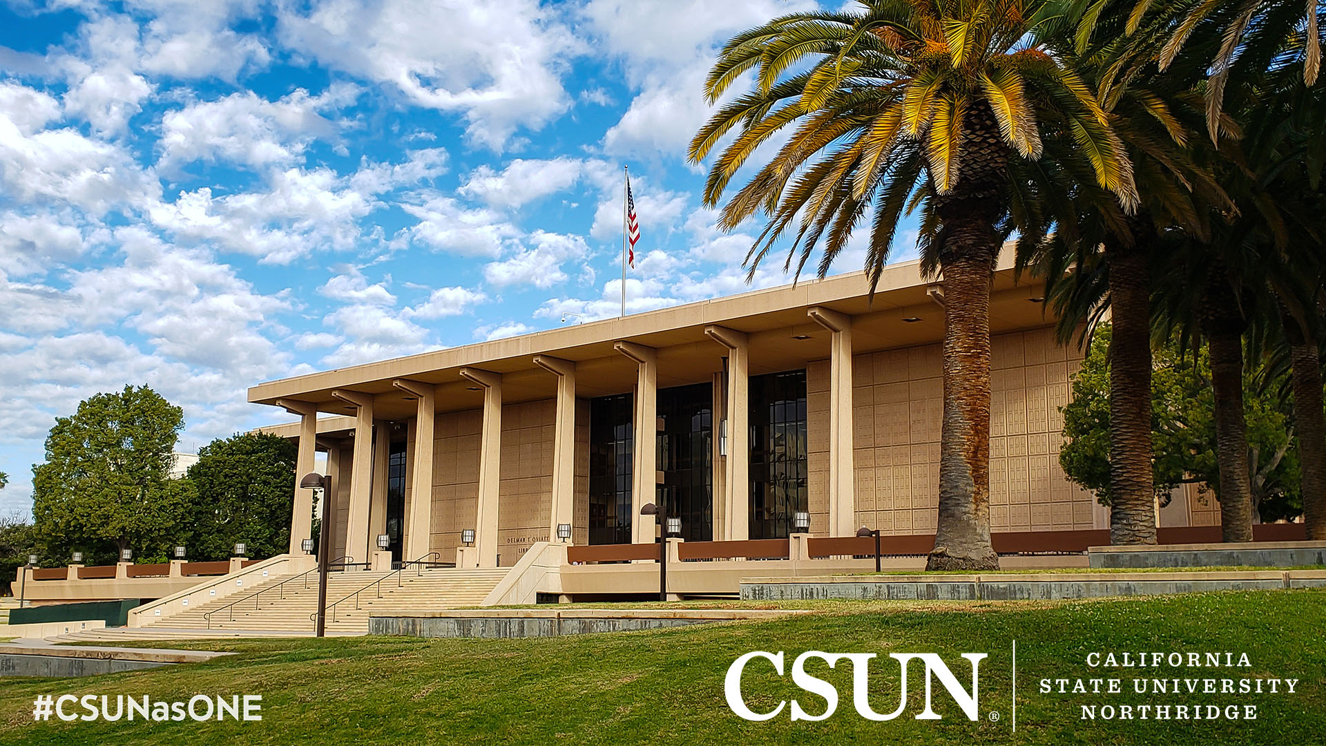 Library with Palm Trees facing northwest