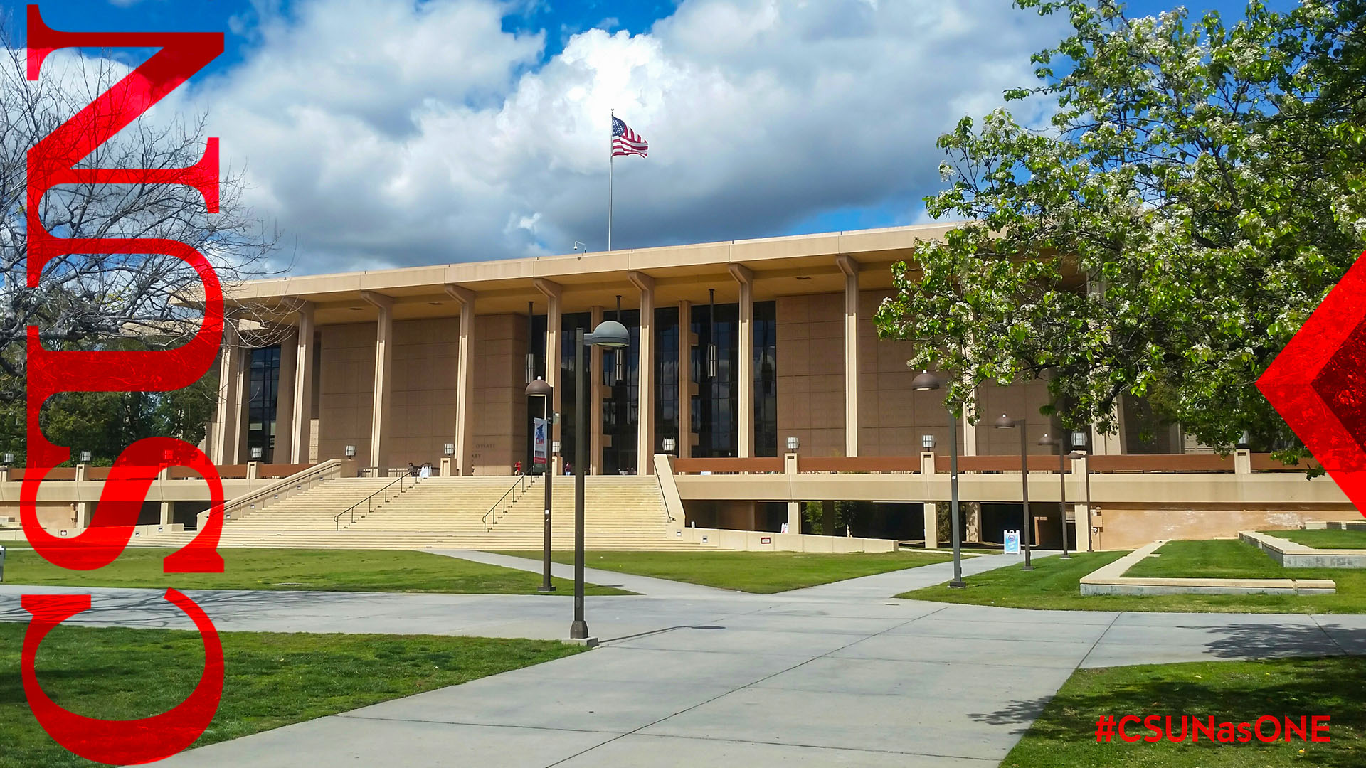Library with pear tree blossoms