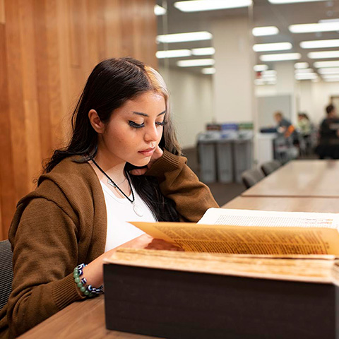 Student in the Special Collections & Archives reading room