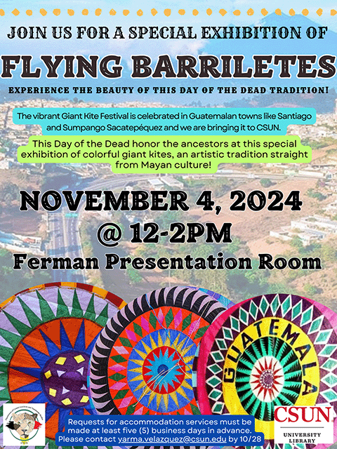 Flying Barriletes colorful flyer