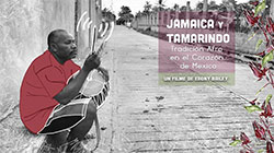 Jamaica and Tamarindo: Afro-Tradition in the Heart of Mexico