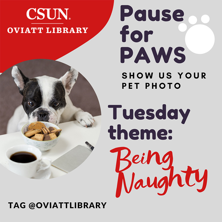 Pause for paws, show us your pet photos, tuesday, being naughty