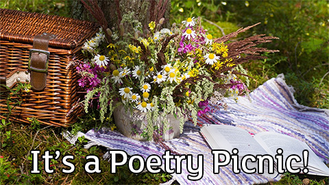 It's a Poetry Picnic!