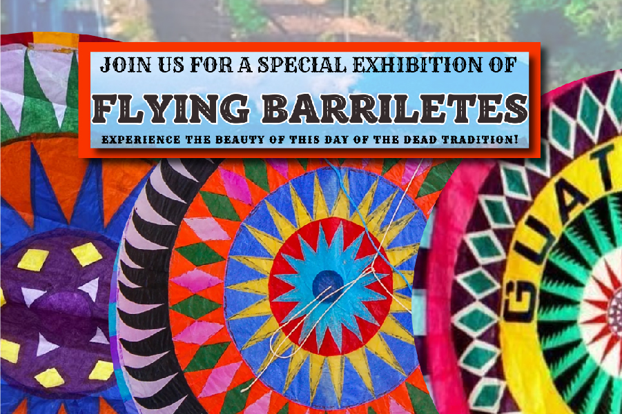 Join us for a Special Exhibition of Flying Barriletes