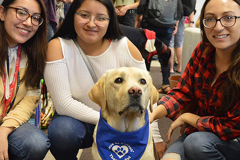 3 Students with a dog