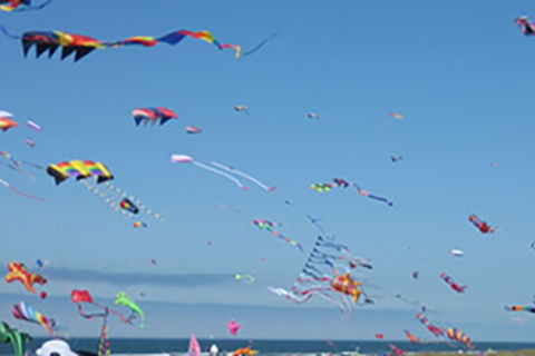 Painting the Sky with Kites