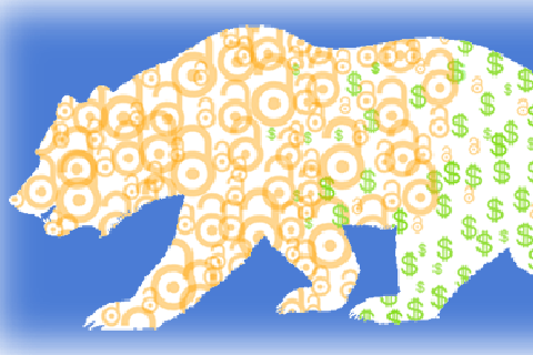 Bear becoming Open access