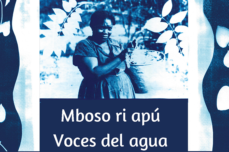   Now at the Museum of Social Justice through  July 12: Mboso ri apú  - Voces del agua 
