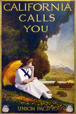 California Calls You - Exhibit Item