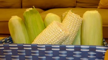 Corn on the cob in a basket