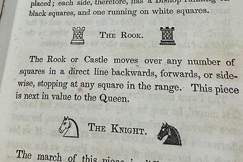 chess instructions