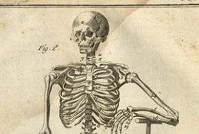 Detail of Anatomy Plate 1, AE25.E551 Vol. 2
