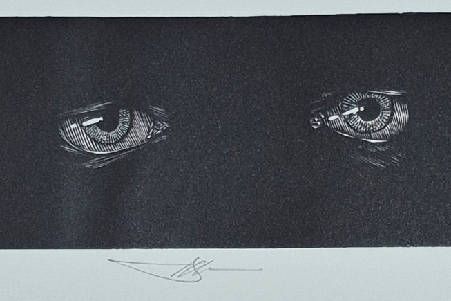 The creature’s eyes, from Mary Shelley’s Frankenstein, PR5397 .F7 1984c The creature’s eyes, from Mary Shelley’s Frankenstein, PR5397 .F7 1984c