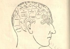 Phrenology chart in Matrimony: Or Phrenology and Physiology Applied to the Selection of Congenial Companions for Life: Including Directions to the Married for Living Together Affectionately and Happily, HQ31 .F775 1875