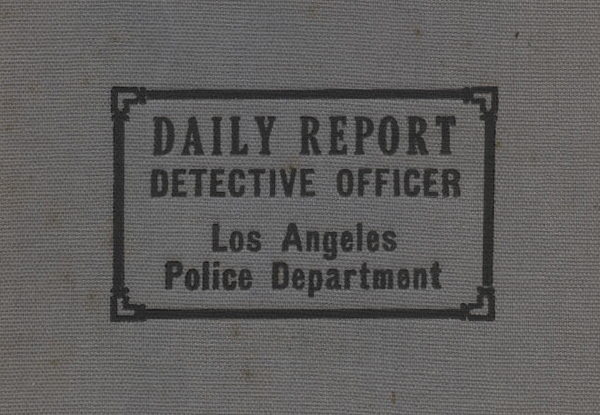 Daily report cover