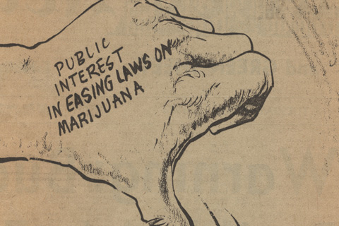 Political cartoon noting a decline in public enthusiasm for easing Marijuana laws