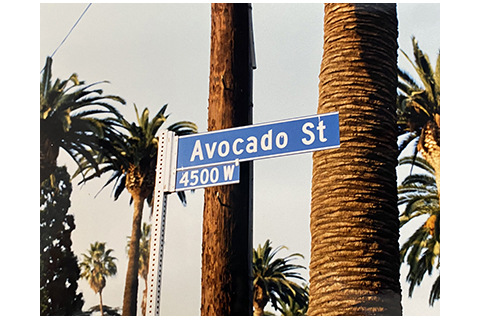 Photo of the Avocado Street Sign Taken for the Historical-Cultural Monument Application