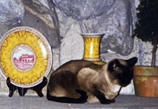 Detail of a stone fireplace with a cat seated on it, Stone Houses of the San Fernando Valley Collection