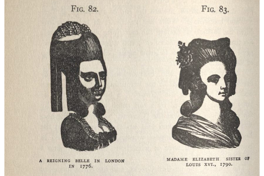 Illustration from  The Ladies' Medical Guide