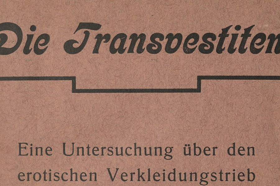 Cover of Die Transvestiten