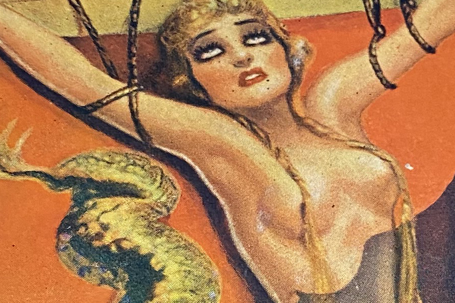 Detail of cover illustration from Weird Tales Volume 29, Number 1, "Children of the Bat"