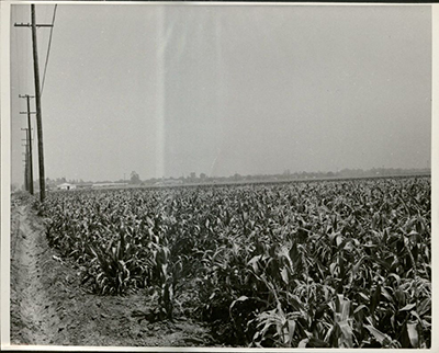 Site of Anheuser Busch Co. Brewery