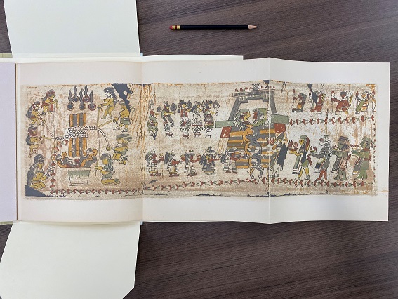 One full page from the reproduction of the Codex Hall, F1219 .D5
