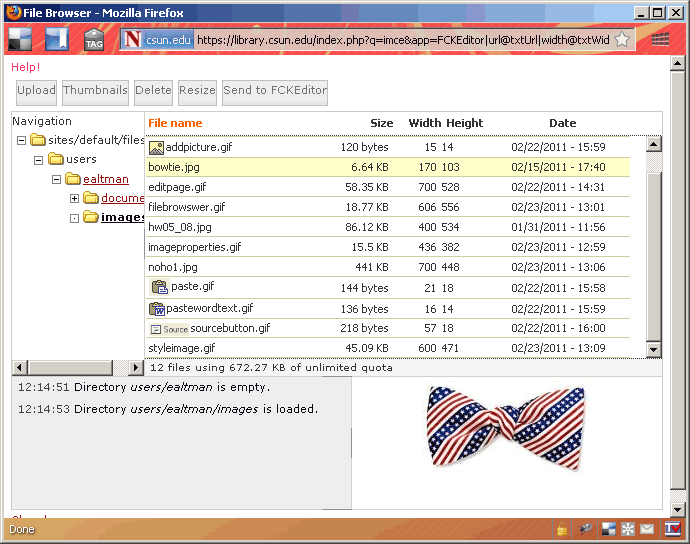 File Browser window