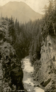 Albert canyon