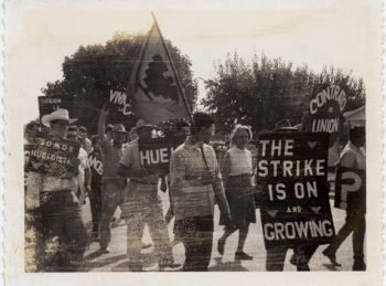 United Farm Workers strike