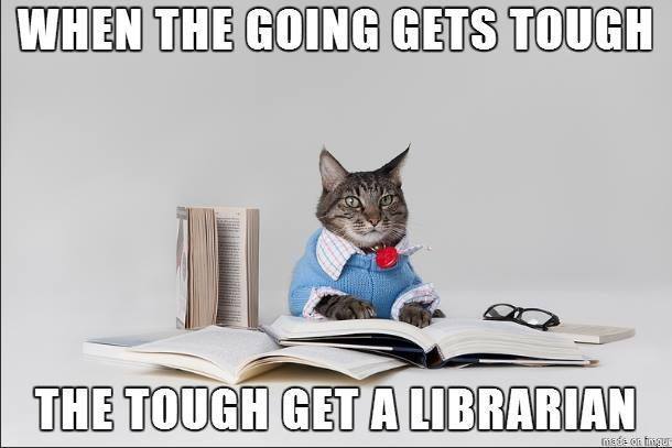Image of a cat on a laptop, the text reads, "when the google gets tough the tough get a librarian."