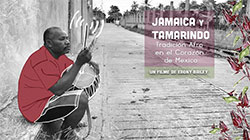Jamaica and Tamarindo: Afro-Tradition in the Heart of Mexico