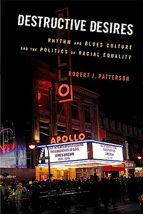 Destructive Desires : Rhythm and Blues Culture and the Politics of Racial Equality - Robert J. Patterson