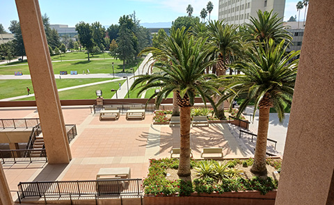 The south portico of the CSUN University Library with palm trees, planters and new pavers